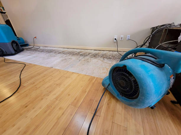 Professional Sewage Cleanup technician working in Hickman, KY